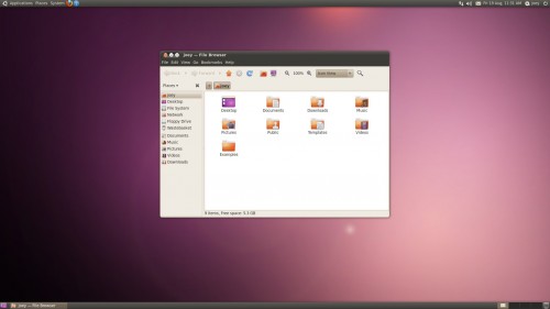 Ubuntu 10.04 Desktop