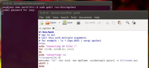 Ogv to avi using mencoder in Ubuntu